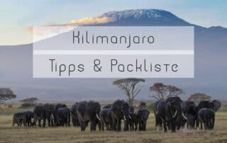 Kilimanjaro Vorbereitung Packliste